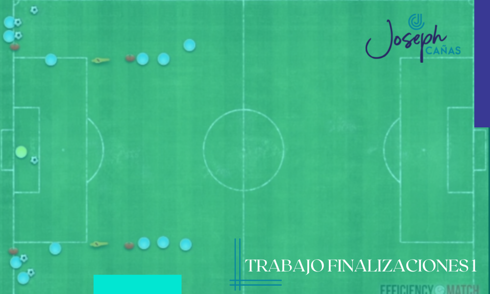 Trabajo finalizaciones 1