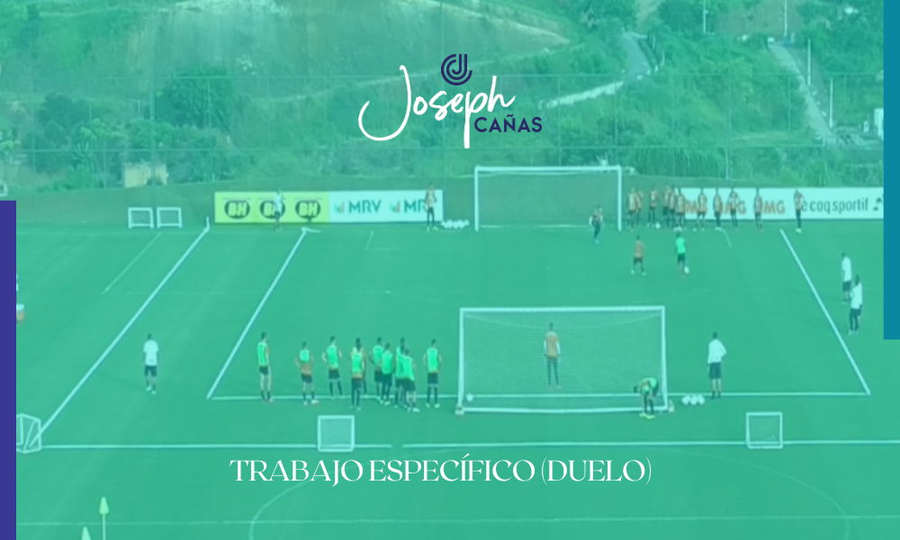 Trabajo específico (Duelo)
