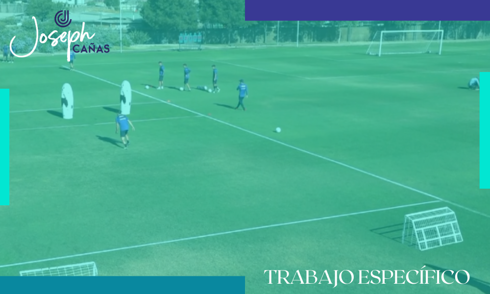Trabajo específico