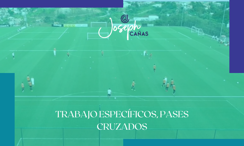 Trabajo específicos, pases cruzados